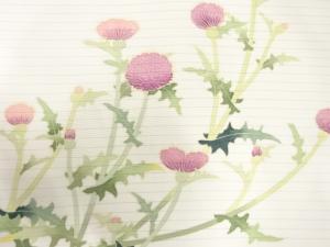 アンティーク　絽　手描き　薊模様名古屋帯